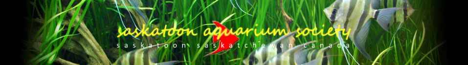 Saskatoon Aquarium Society